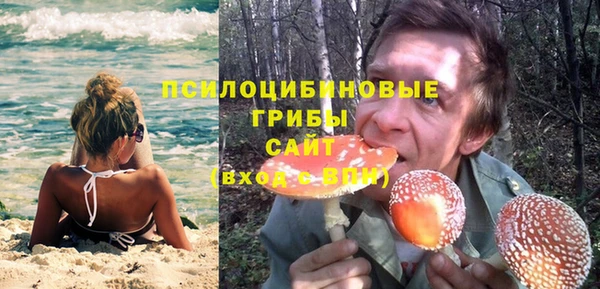 apvp Надым
